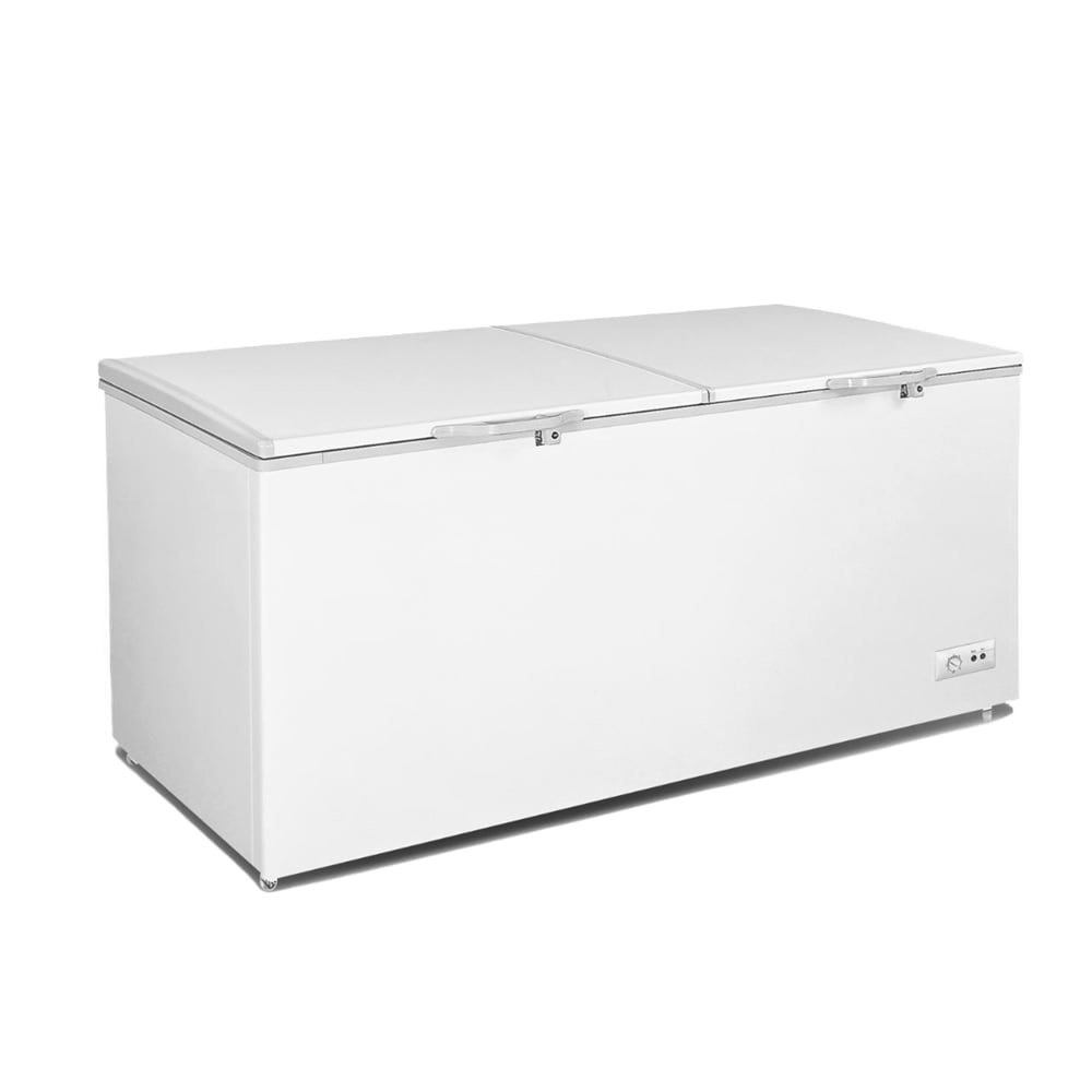 49” Solid Open Lids Chest Freezer, BG-420